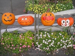 かぼちゃ4.jpg
